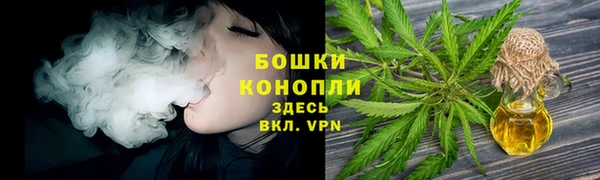 трава Беломорск