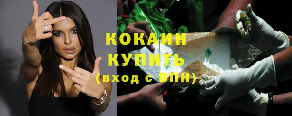 мдпв Надым