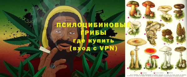трава Беломорск